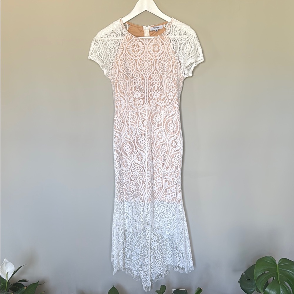 Elegant Lace Dress in White and Cream